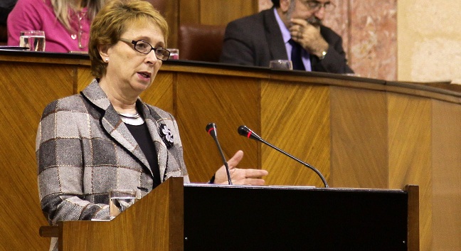 martinez-aguayo-pleno-parlamento-121212