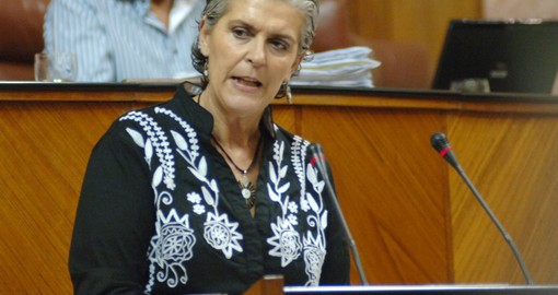 La secretaria de Educación del PSOE de Andalucía, Araceli Carrillo, permanecía en activo. / Sevilla Actualidad