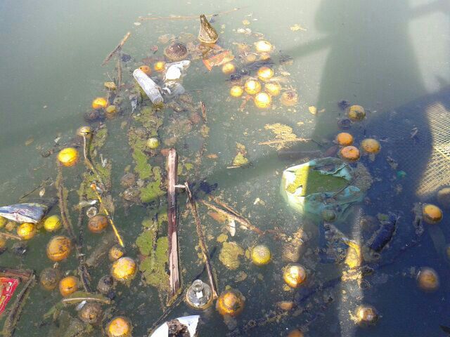 estanque-parque-principes