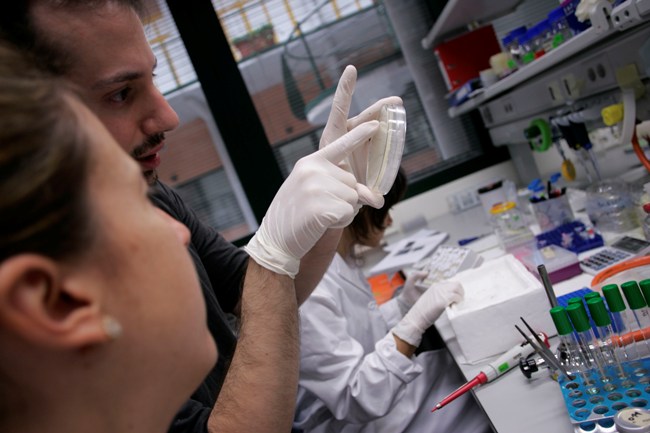 upo-investigacion-280113