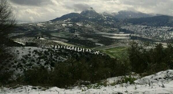 La nieve sobre el peñón de Algámitas, en la sierra del Terril de la Sierra Sur de Sevilla / Alejandro Copete