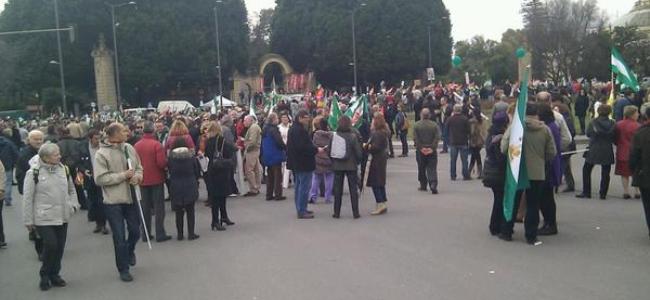 manifestacion-28f-sevilla-2013
