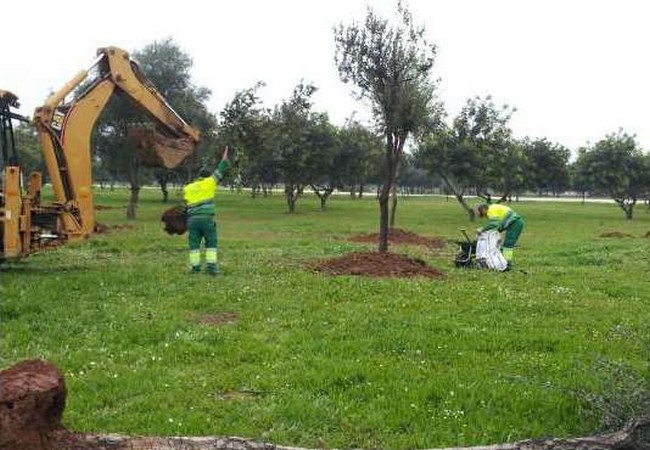 La inversión del Ayuntamiento suma aproximadamente 200.000 euros./Prensa Partido Popular