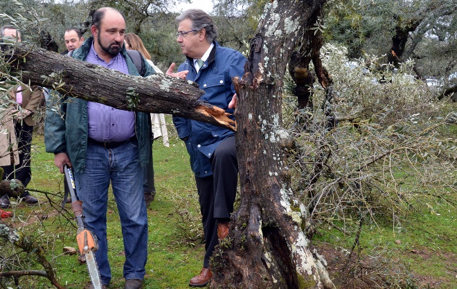 El líder del PP de Andalucía ha visitado la Sierra Norte de Sevilla para valorar los efectos de la nevada del 28 de febrero / Sevilla Actualidad