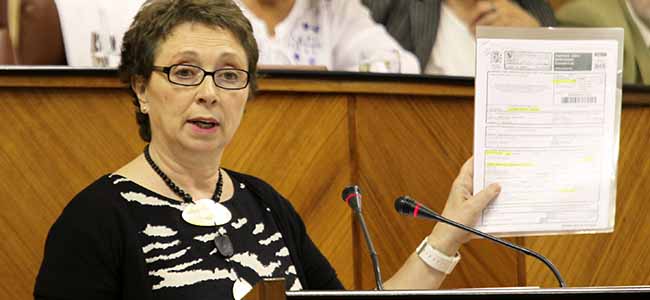 La consejera de Hacienda ha comparecido ante el Pleno del Parlamento a petición del PP/SA