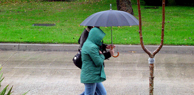 lluvia-personas-paraguas2