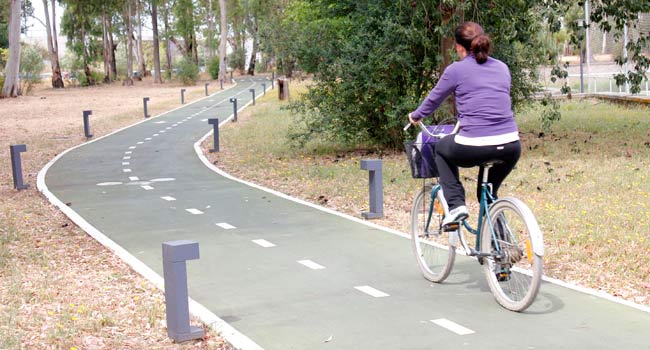 UPObici pondrá a disposición de la comunidad universitaria de la Olavide bicicletas en servicio de préstamo / Sevilla Actualidad