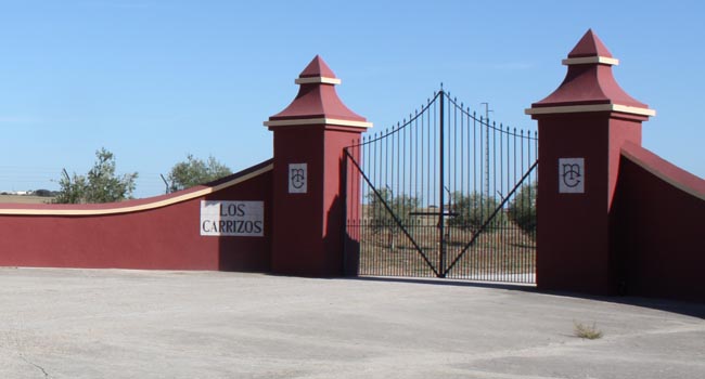 La finca de Los Carrizos se localiza en el término municipal de Castilblanco de los Arroyos / Juan Carlos Romero