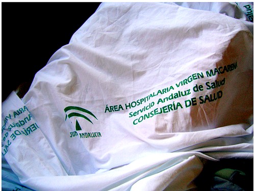 La concentración servirá para protestar por los recortes en Sanidad./Sevilla Actualidad