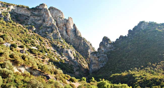 La Vía verde de la Sierra entre las provincias de Cádiz y Sevilla discurre por un antiguo trazado ferroviario y ha sido rehabilitada y puesta en valor con fondos europeos / Sevilla Actualidad