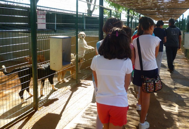 El Consejo de la Infancia visitó la Fundación Benjamín Mehnert./Alcalá de Guadaíra