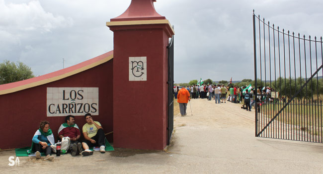 Los manifestantes del SAT accedieron unos metros al interior de la finca Los Carrizos, conforme a lo acordado por Mario Conde y Diego Cañamero para permitir la acción / Juan C. Romero