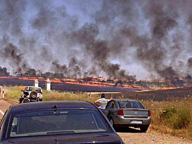 fuego-hato-verde-guillena-curro-gomez-feliu