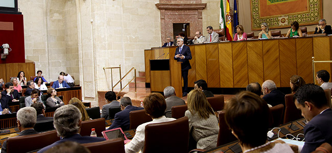 grinan-pleno-debate-estado-andalucia-2