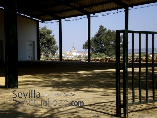 recintoferial-julio2010-jcrm