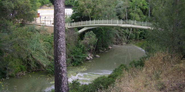 vertido-guadaira-junio13
