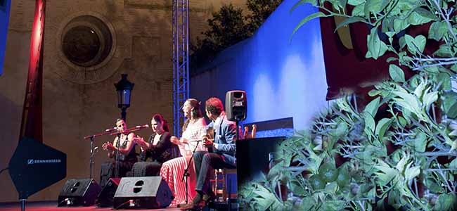 caracola-lebrija-2013-alejandro-medina