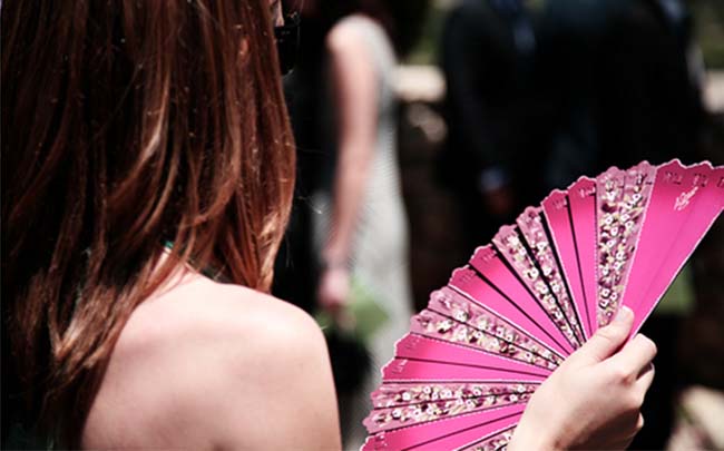 carlor-abanico-andru-flickr