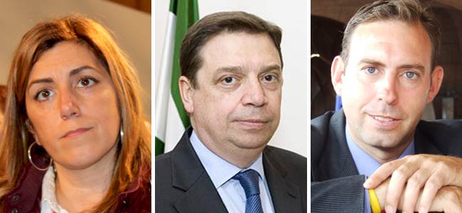 diaz-planas-rodriguez-montaje