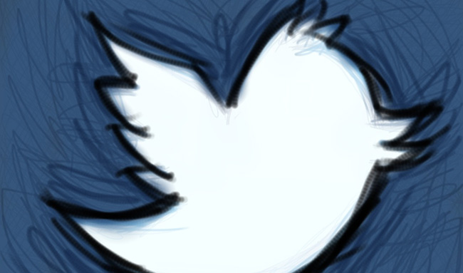 pajaro-twitter-shawncampbell-flickr