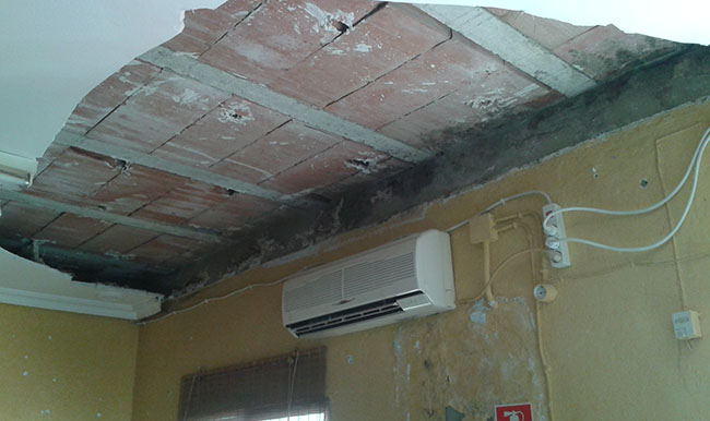 local-avv-los-lirios