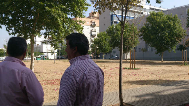 podas-arboles-sevilla-este