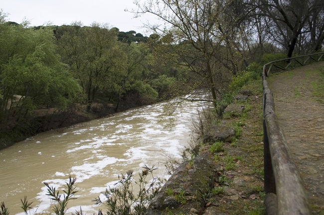 vertido-guadaira-14-3-2011-algarrobo