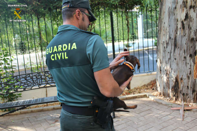 guardia-civil-mascota