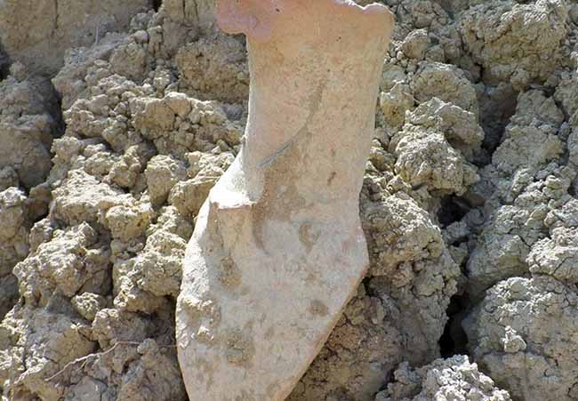 yacimiento-gandul-andaluces-alcala