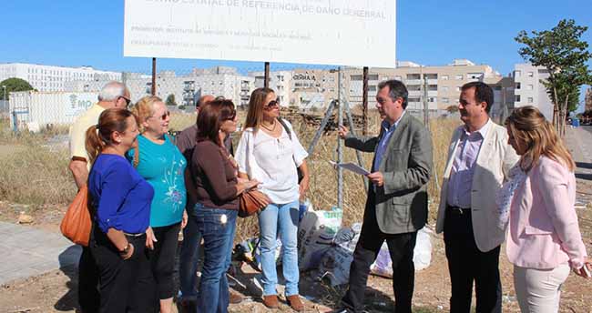 espadas-pino-montano