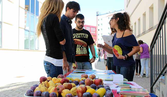 frutas-dia-alimentacion-us