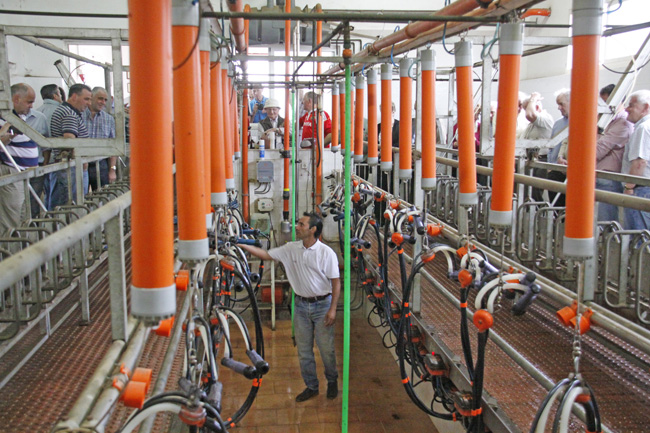 ganaderia vallehermoso