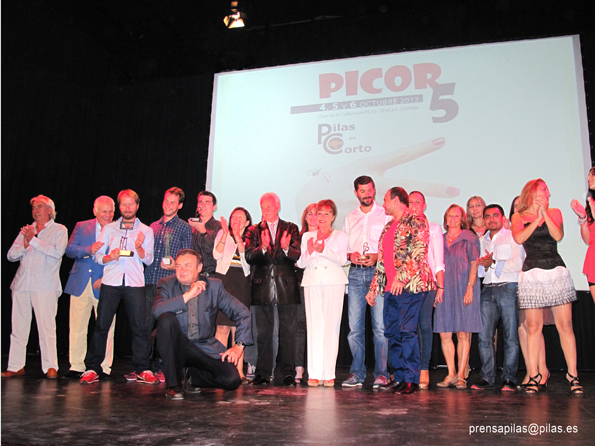 picor v 17