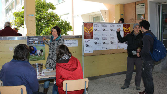 dia noviolencia mujer