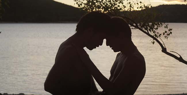 el-desconocido-del-lago