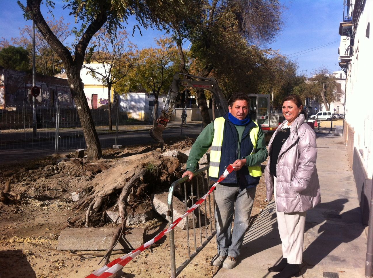 Arbolado Calle Campamento 1