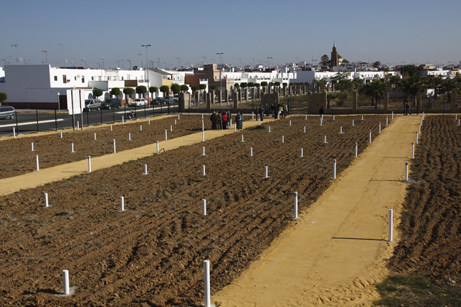 El Ayuntamiento de Los Palacios entrega los huertos sociales 2