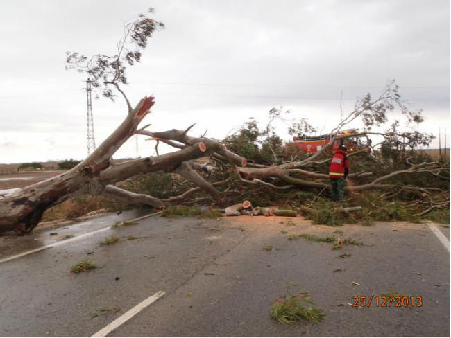 arbol caido carretera base 3
