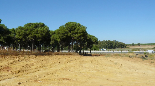 huertos-sociales-mairena