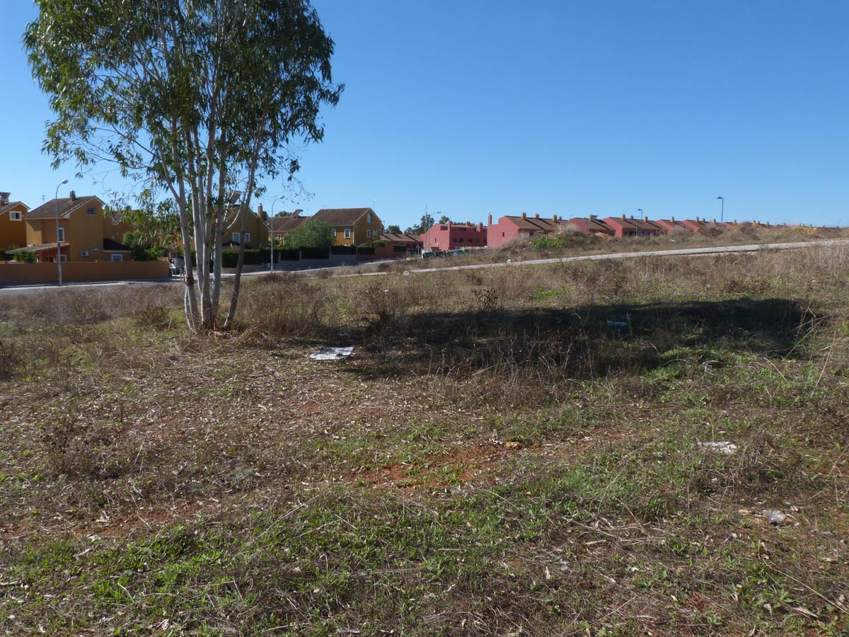 aquino-parque-perdido-4