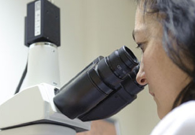 laboratorio-investigacion