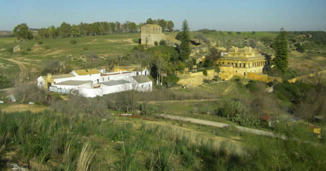 gandul-los-alcores-andaluces-de-alcala