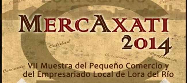 mercataxi-2014