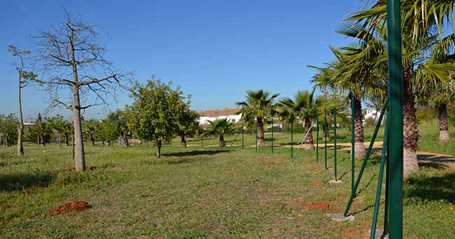 huertos-urbanos-mairena-aljarafe