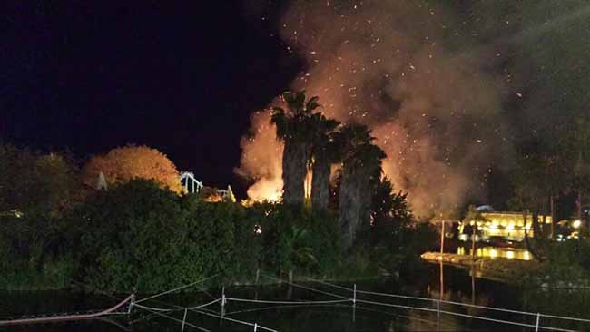 llamas-isla-magica-javier-rivas-f-twitter