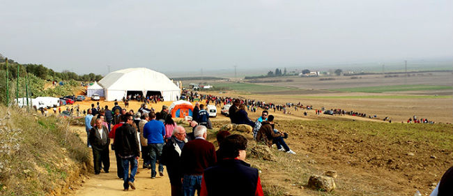 carpa-campeonato-galgos-elviso