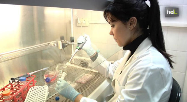 investigacion-fibromialgia-hdl