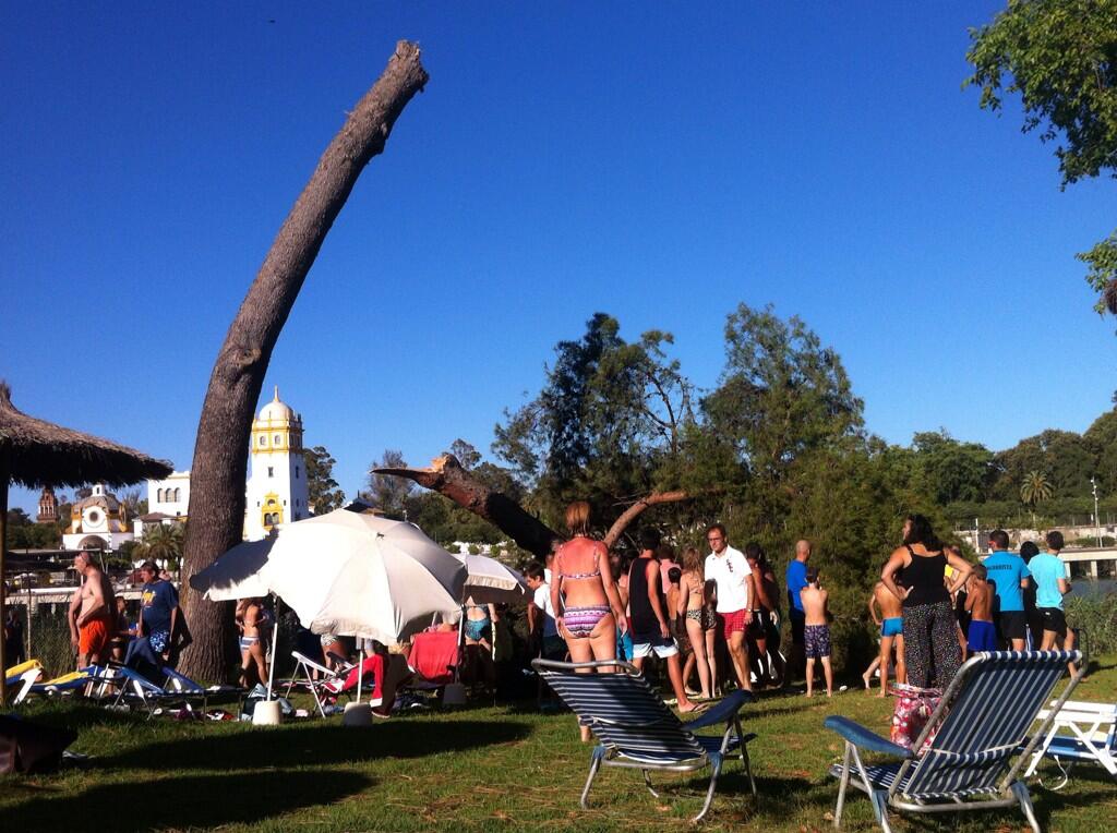 arbol club mercantil