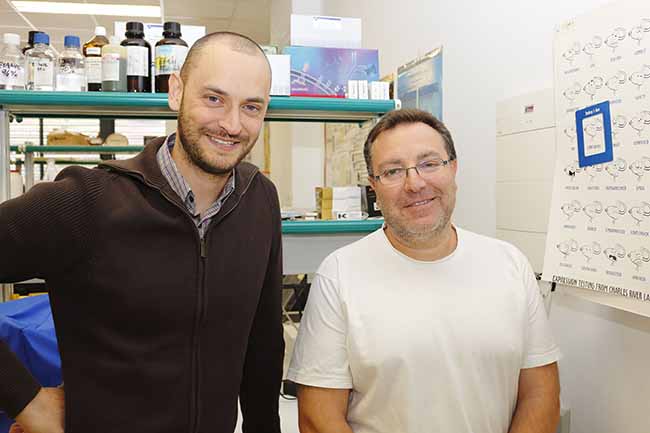 carrion-cordero-investigacion-us-upo