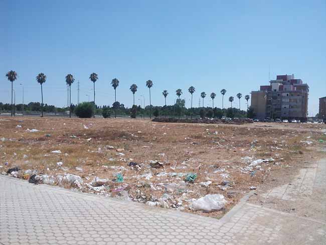 solar mal desbrozado1